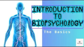 Introduction to Biopsychology