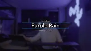 Seaboard Performance, Purple Rain! (cover) | 씨보드로 연주하는 퍼플레인! 건반으로 기타 솔로를 이렇게?!