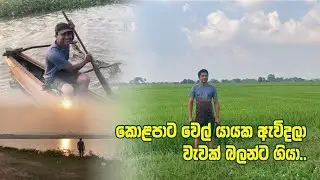 ගැමුණුපුර දැවැන්ත වෙලා යායක ඇවිදලා හවස වැවක් පැත්තට යමුද....🥰💐💐💐🥰👍