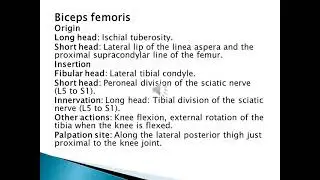 PT_PT1202_Patient evaluation 1_ Level 2_ Hip Joint Manual Muscle test _21-4-2021
