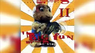 BIG FUN NON-STOP MIX 2