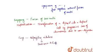 A type of life cycle in which plasmogamy, karyogamy, haplodization take place but not at specific