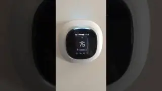 Ecobee4 thermostat with built-in Alexa voice control