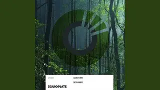 Deep Woods