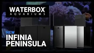 Episode 139: INFINIA PENINSULA - More To Love.