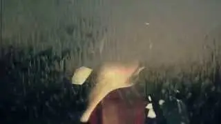 Citizen - 