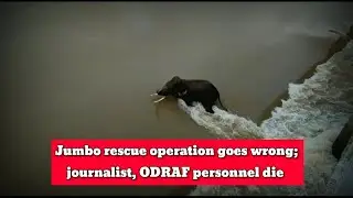 Odisha: Jumbo rescue operation goes wrong; Journalist, ODRAF personnel die