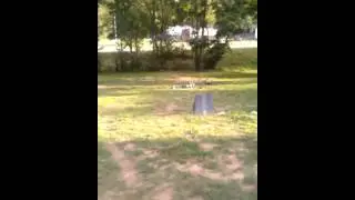 Drunk stunt man bites the dust