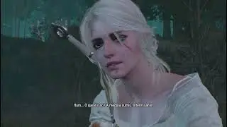 The Witcher 3