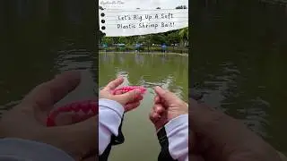 Learn To Rig A Soft Plastic Shrimp Lure! #fishingtips #sharing #learning #rapala #crushcity