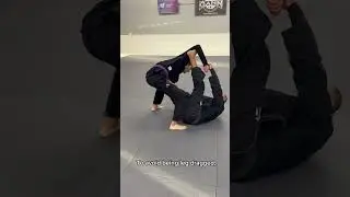 Spider Guard Catapult Sweep