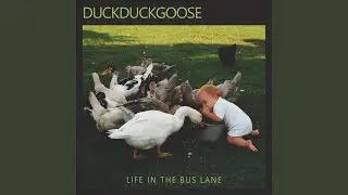 Life In The Bus Lane
