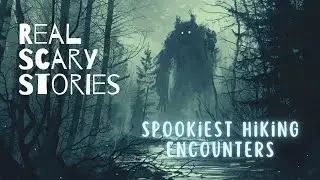 Terrifying Encounters with the Unknown | True Horror Stories from the Deep Woods