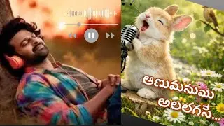 Peace song lyrics 🎶🩶🐇 | song 🎼👀 | Stress free vibe with rabbit 🐰🍁