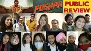 Pushpa: The Rise Public  Review | Pushpa Public Reaction | Allu Arjun | Rashmika Mandanna | Punjabi