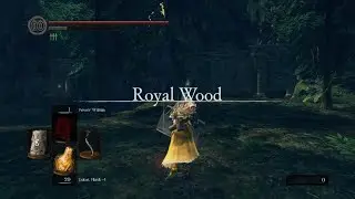 DARK SOULS: REMASTERED Kalameet boss fight and tail cut.