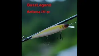 Aliexpress- BassLegend Fishing Suspending Squad Minnow Jerkbait Crankbait Bass Pike Lure Shad 128 SP