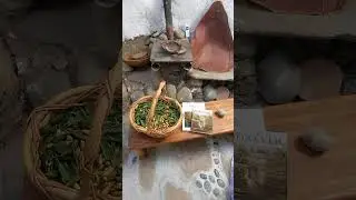 Foraging Wild Food Makes Sense