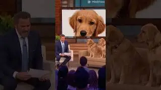 Dog paternity test result announcement 😂