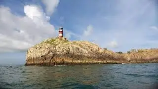 nivti searock