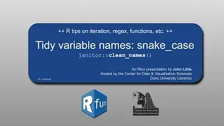 Tidy variable names and the snake case with janitor::clean_names()
