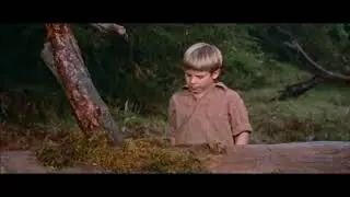 Woman obsessed. 1959. Quicksand.