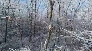 Snow-Covered Long Island Woods Captured in Stunning Drone Footage