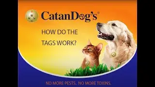 CatanDog's Tags - How It Works