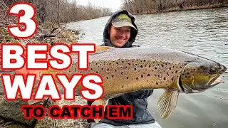 TOP 3 Baits You NEED To Catch HUGE TROUT From Shore!