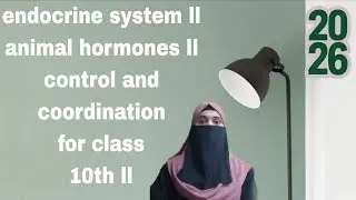 Control and coordination ll different type of hormones for class 10th student ll 2026 ll