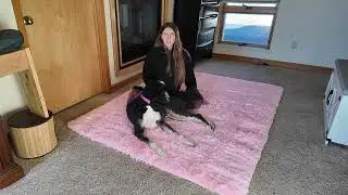 Pink Rugs For Girl's Bedroom, Amazon Full Review