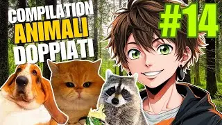 🎙️ Compilation ANIMALI Doppiati (PARTE 14) 😺🐶🦝