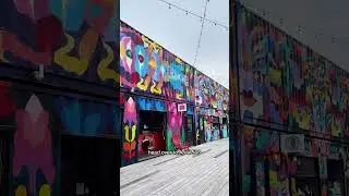 5 обязательных к посещению занятий в Сент-Джоне, Нью-Брансуик &mdash; путеводитель