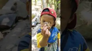 Mendebarkan! Umpan Pancing Disambar Kepiting Besar - Lihat Aksinya! 🦀