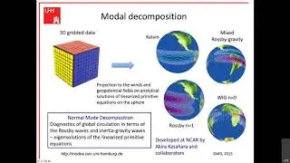 An assessment of scale-dependent variability and bias in global prediction models