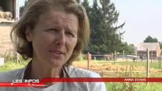 Anna Evans, sp&eacute;cialiste de communication intuitive avec les animaux1