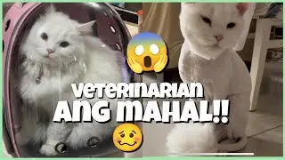 NA BUDOL KAMI SA PA CHECK-UP NI DOCTOR | POOR LITTLE BODGI (The Cat)