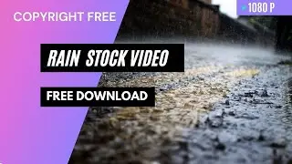Copyright Free- Rain Stock Video| Download Free- Cinematic Rain Stock Footage | 2021