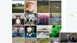 Photo Competition - Spring