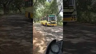 TNSTC TIRUNELVELI TO KADAYAM BUS #shortsvideo #trending