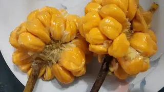 Amazing !! Mini Jack-fruit || Supper delicious wild Jack-fruit