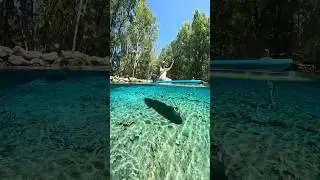 GINNIE SPRINGS ~ High Springs ~ Florida