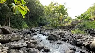 Relaxing River Sounds for Sleep 😴 Natural Stream Ambience for Night Relaxation