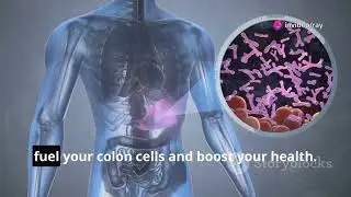 The Secrets of digestion unlocked #stomach #liver #digestivesystem #anatomy #food