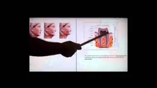 الجزء (1) 