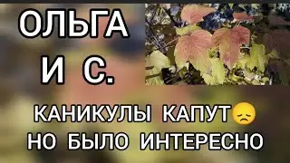 Обзор‼️ Ольга и семья // Каникулы капут⁉️ Но было хорошо‼️