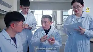 China's PTA/PET Catalyst Giant: Powering Global PTA Production