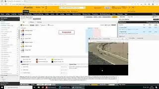My Greyhound Betfair Trading Strategies