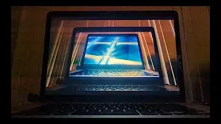 The Municipality - In the Next Life (official video)