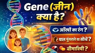 जीन क्या है? What is gene? Structure function , where it is found in the cell, importance #genetics 